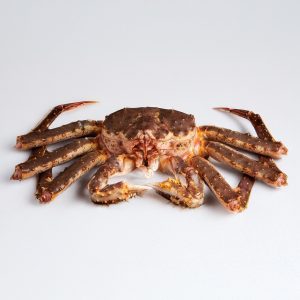 Живой камчатский краб