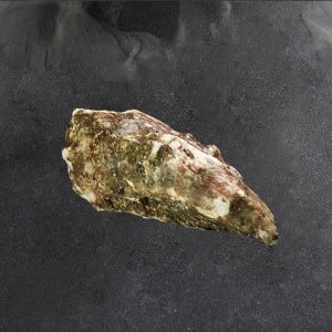 Устрица импорт