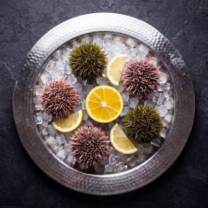 Морской Ёж 5шт
